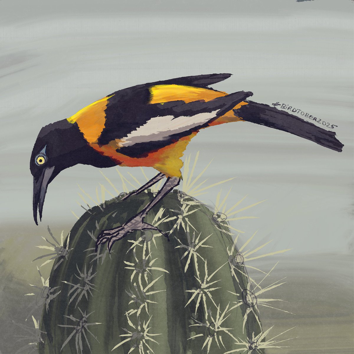 annafandoghi's tweet image. My humble participation in the #birdtober2025 #birdtober #gopaint  #huawei