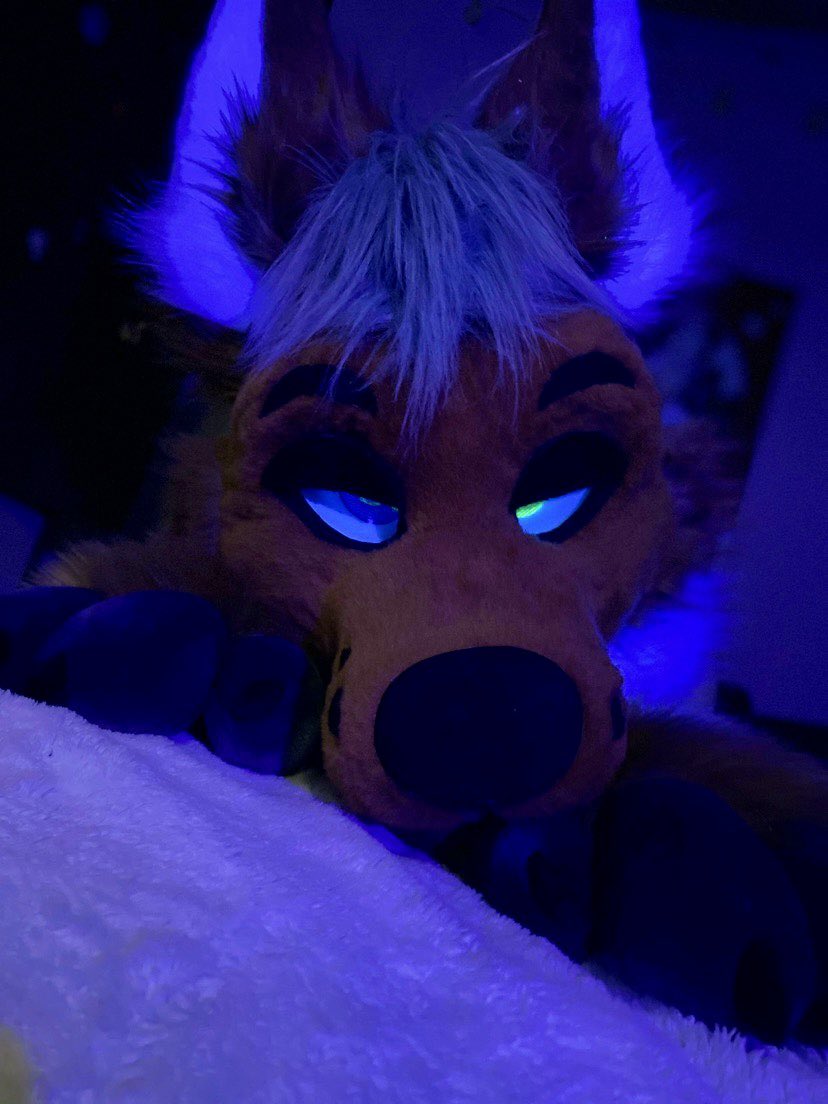 Hello cutie~ 
Happy #FursuitsFriday!!

📸: <a href="/aquaiights/">Cami❤️</a>