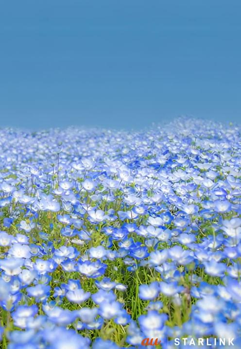 🌍
ありがとうの気持ち！
🐛 今行くね！