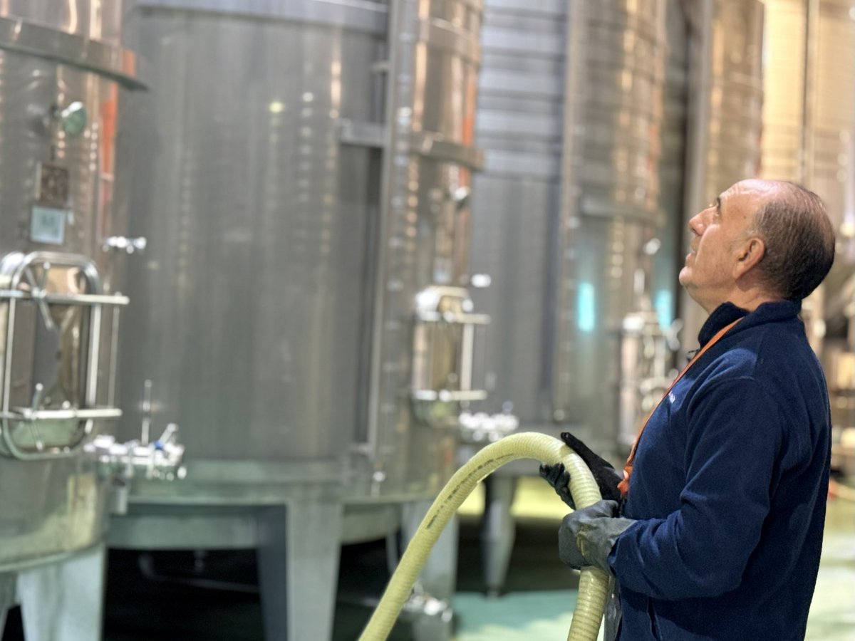 La importancia de cada detalle es esencial en vendimia.

Durante estos días, el equipo de Bodegas Sinforiano trabaja con precisión y compromiso para alcanzar la máxima calidad y la mejor expresión de cada vino.

#BodegasSinforiano #vendimia #bodega #harvest #winery