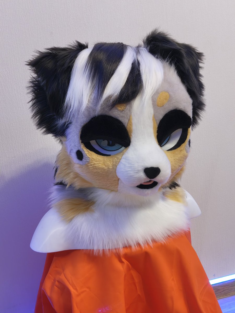 CFerretCraft's tweet photo. New cute KEMONO canine fursuit head! Contains the head 🐾💖 $2000 + shipping!

I am open to bargaining. If you want to offer a lower price, then write. 

More about fursuit: https://t.co/hdcgRggzkd

#furry #fursuit #FursuitFriday #fursuitmaker https://t.co/AJSON1IxaP