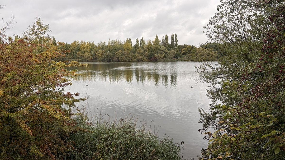 Puuurrruuuu's tweet photo. Pretty lake that I rlly wanna dr0wn in https://t.co/CVabTvaRUF