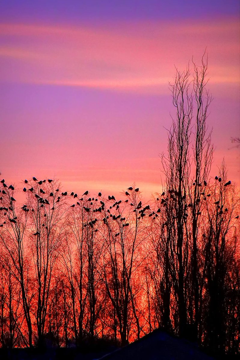 RTaahirah's tweet photo. Feeling the heavy energy of both personal and collective tragedies. Witnessing the laws of cause and effect, polarity, and rhythm keep us all on a swivel. Finding  balance by remembering that All is Mind. Then I take deep breaths and find something beautiful in this world. https://t.co/AJU1nrSgps