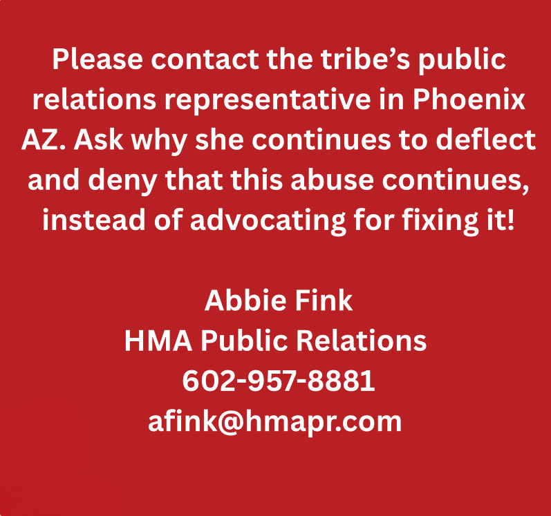 SAVE Havasupai Horses (@havasupaihorses) on Twitter photo 