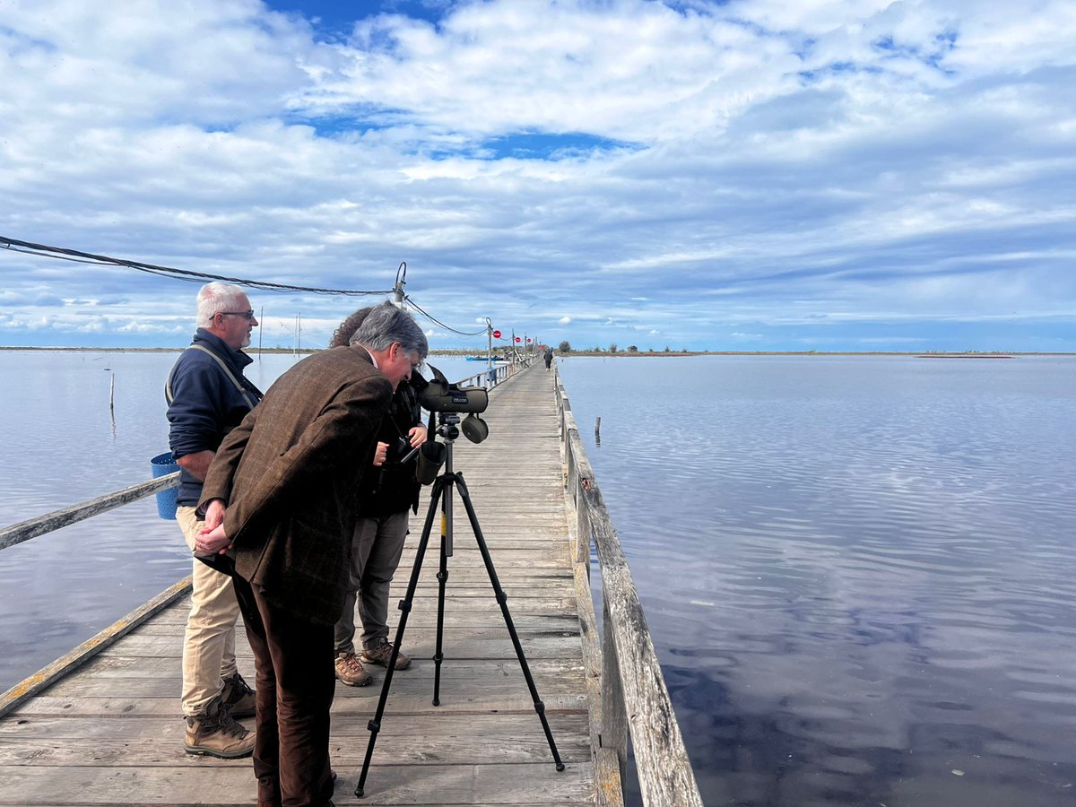 OSCEinAlbania's tweet image. 🌊🦩 Protecting #environment means working together! Today, Amb. Tarran visited Divjaka-Karavasta National Park and discussed with Mayor, park authorities &amp;amp; NGOs the importance of joint action, youth engagement &amp;amp; eco-tourism to conserve one of 🇦🇱’s unique ecosystems.