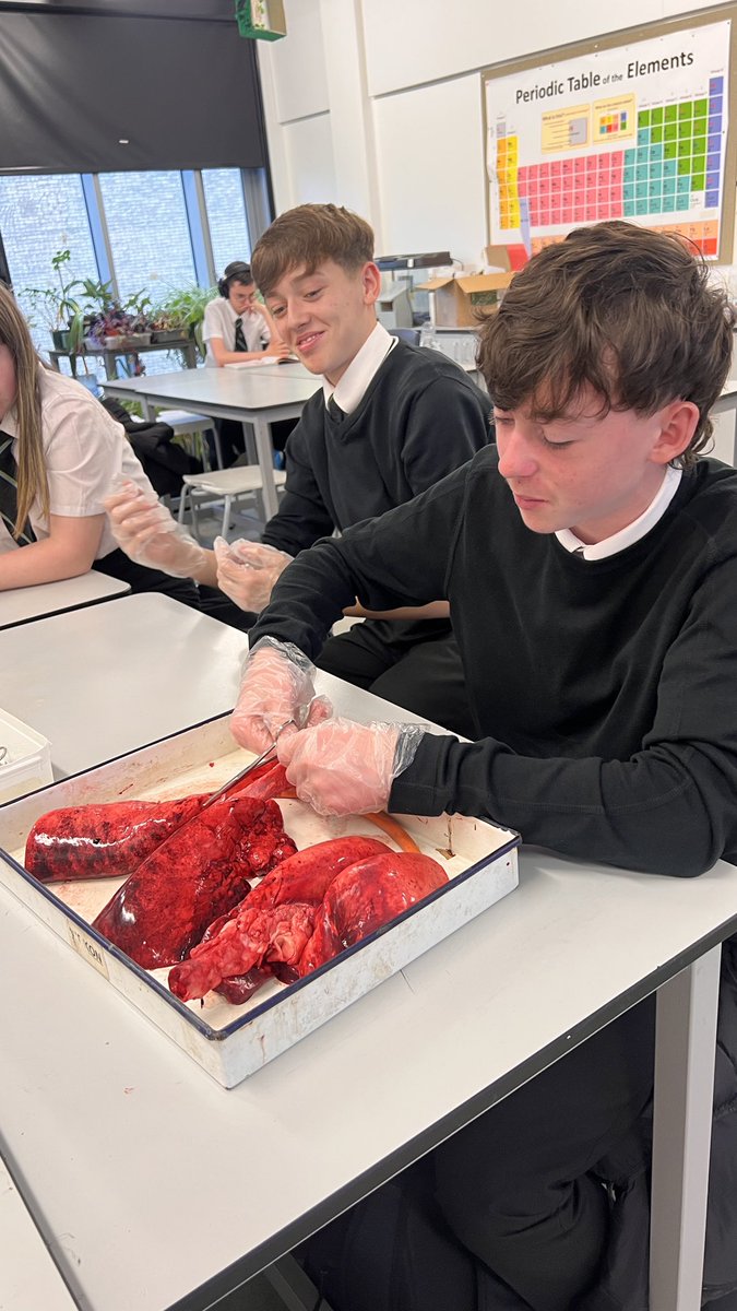 Garnock Science Department tweet media