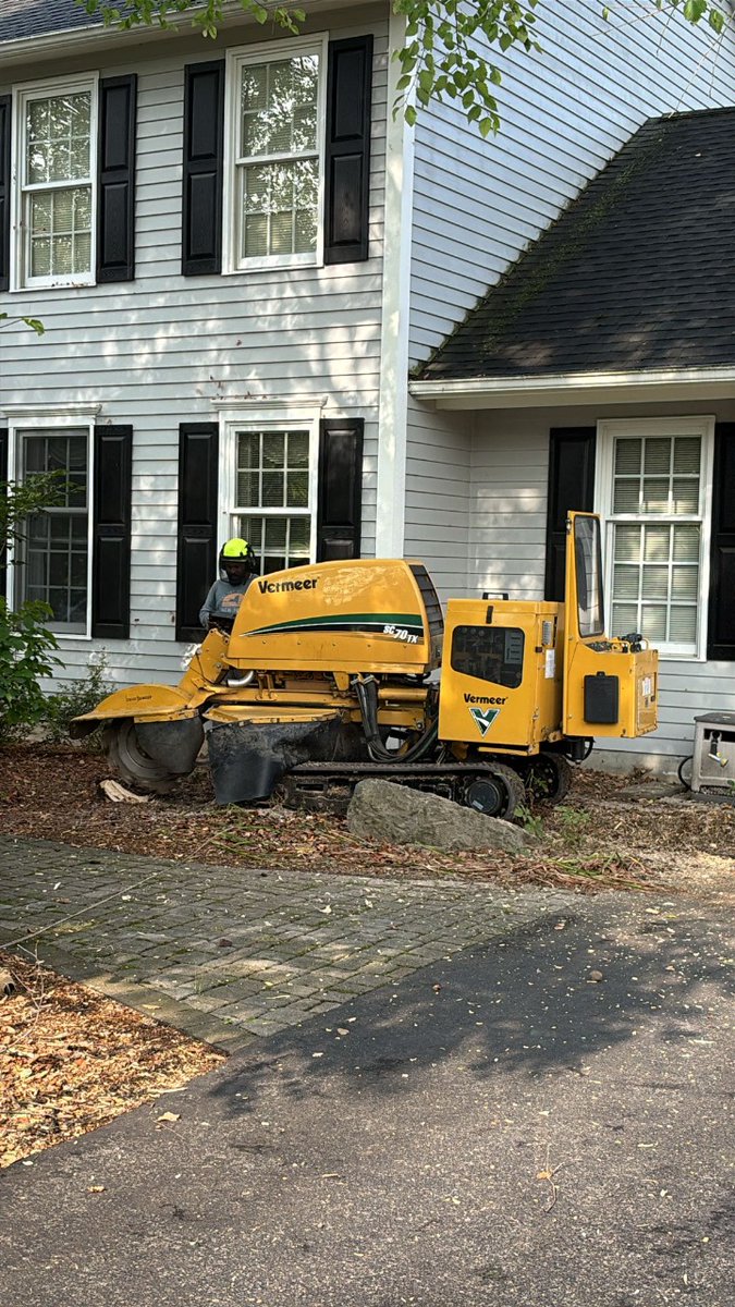 kdtreealbanyny's tweet image. 🌳 Turning tough stumps into smooth ground! 💪
Our powerful Vermeer stump grinder makes quick work of even the biggest tree stumps, leaving your yard clean, safe, and ready for what’s next. 🌿
#StumpGrinding #TreeCareExperts #Vermeer #KDTreeService #YardCleanup #TreeRemoval