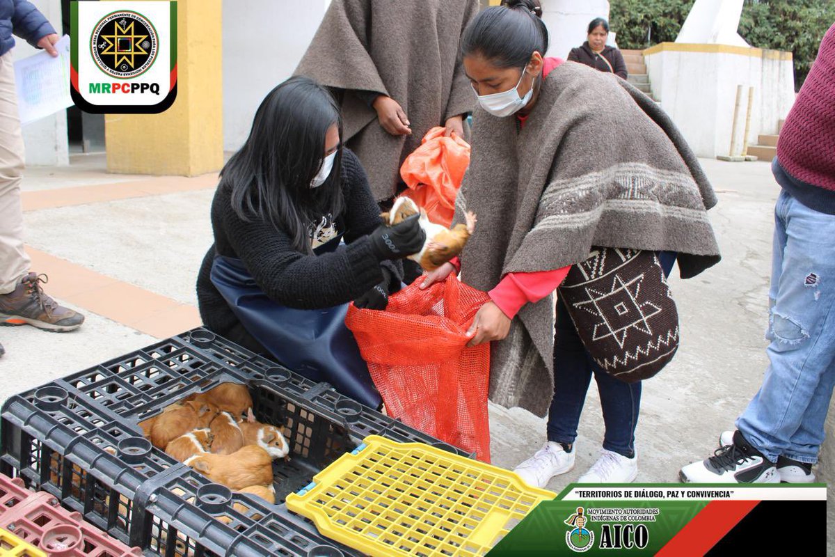 MRPC - Pueblos Pastos y Quillasingas tweet media