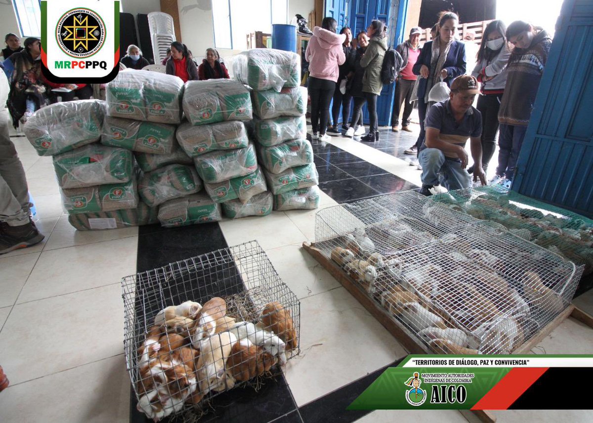 MRPC - Pueblos Pastos y Quillasingas tweet media