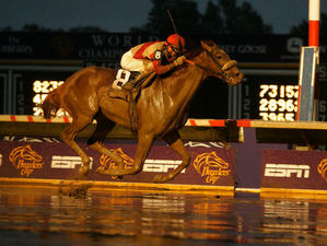 HORSERACING1002's tweet image. CORINTHIAN🇺🇸2003
(PULPIT - MULTIPLY BY EASY GOER)
#Corinthian
B/ Gracefield Equine &amp;amp; Hargus Sexton (Ky) March 7, 2003
O/ Centennial Farm
T/ James A. Jerkens
FTSAUG $385,000
12-6-1-2---$1,267,273
Breeder's Cup Dirt Mile L, Metropolitan H G1,  Gulfstream Park H G2,
3rd Fountain of