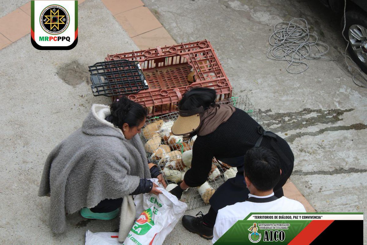 MRPC - Pueblos Pastos y Quillasingas tweet media