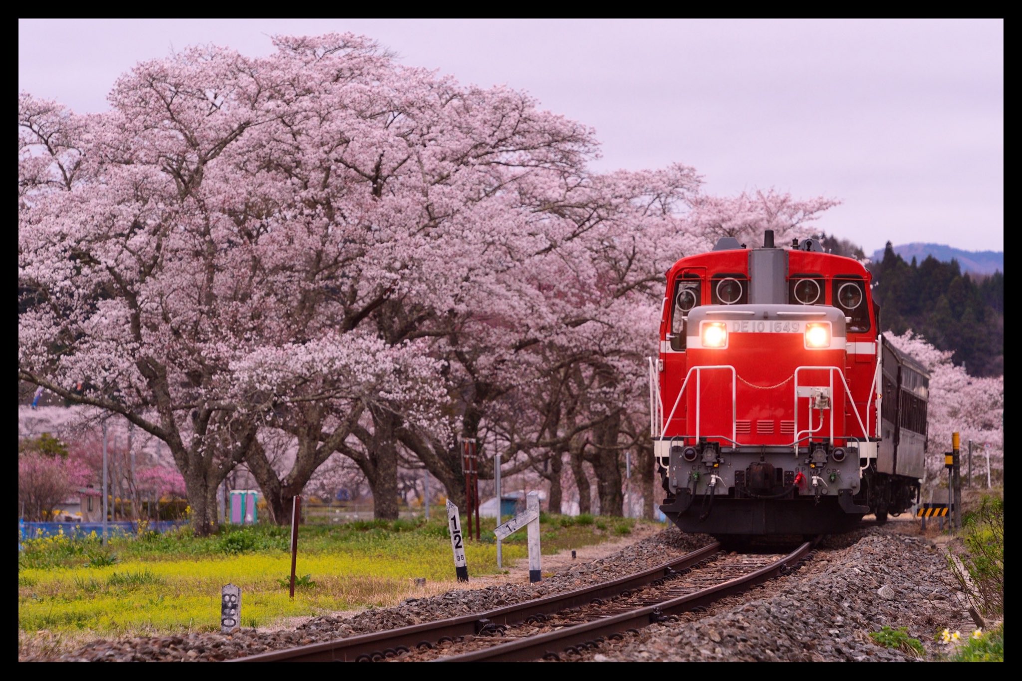 外戸本 1991年5月号 九州の総景 外戸本 1991年5月号 九州の総景 趣味・教養 | 西日本