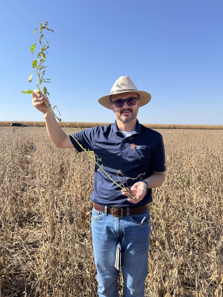 Rodrigo Werle tweet media