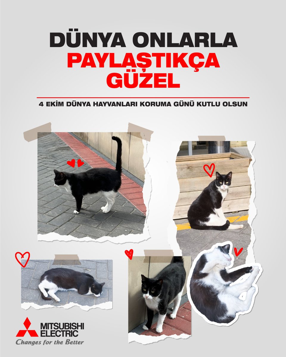 Sevgileriyle hayatımıza renk katan tüm dostlarımız, iyi ki var.​
Başta Mitsubishi Electric ailesi olarak hepimizin can dostu Mitsu olmak üzere, hayatı paylaştığımız tüm sevimli hayvanlarımızın 4 Ekim Dünya Hayvanları Koruma Günü kutlu olsun.​
#4EkimHayvanlarıKorumaGünü