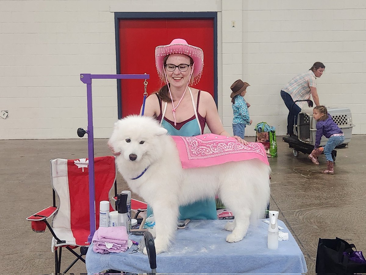 The Abegweit Kennel Club Dog Show kicks off today at 12:00pm, featuring over 150 dogs competing in various categories, including Merry! Admission will be by donation at the door. 🐾 🐶