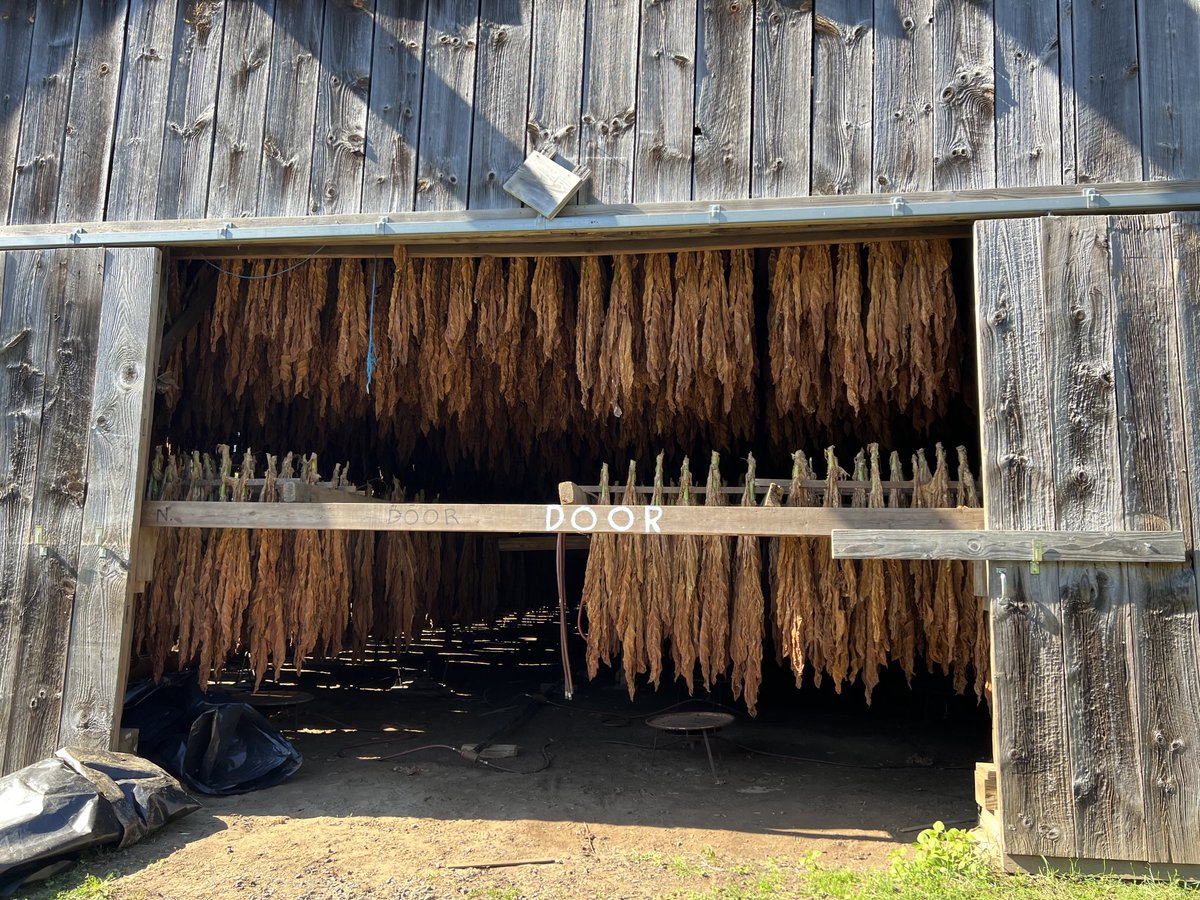 JPEUnion's tweet image. Golf and cigars! ⁦@topstonegc⁩