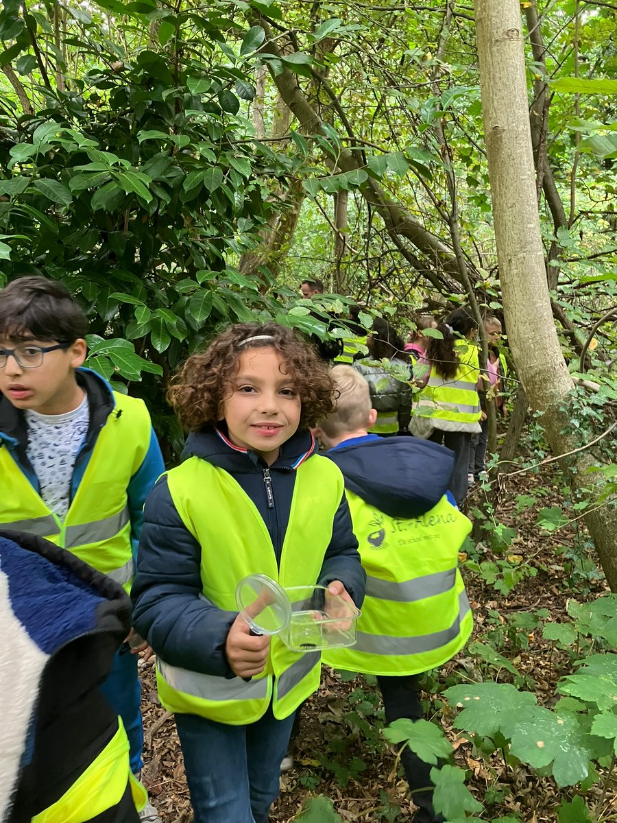 natuurenbos's tweet photo. Vandaag ging het derde leerjaar van de Vrije Basisschool Sint-Alena uit Dilbeek op stap in de #Wolfsputten.🥾Samen met #boswachter Elke gingen ze op zoek naar kriebeldiertjes, en daarvoor maakten ze handig gebruik van onze gloednieuwe bodemkaarten uit de lespakketten van #WeekVanHetBos. Een mooiere start van onze campagne konden we ons niet wensen!😍

Met de campagne Week van het Bos willen we duizenden kinderen en gezinnen het bos laten ontdekken en hen spelenderwijs laten kennismaken met de rijke #biodiversiteit die er te vinden is. Dit jaar staat de bosbodem centraal: de onzichtbare maar onmisbare basis van een gezond, veerkrachtig én biodivers bos. Op https://t.co/3gxOqtazrE vind je leuke lespakketten, bosweetjes, een ontdekkerskit en activiteiten in je buurt. 🍂 

🌬 Opgelet: het KMI meldt voor zaterdag 4 oktober hevige wind met stormcode geel. Enkele activiteiten zullen daardoor misschien afgelast zijn die dag, dat kun je online checken. Wees ook zeer voorzichtig als je de natuur intrekt zaterdag. Hopelijk kunnen we de dagen daarna weer volop genieten van rustigere weersomstandigheden in het bos!🌳

Lees het persbericht > https://t.co/gyGhcQaKIS

📷 Lieven Lanszweert / Ilse De Schutter

#deboswachters #dilbeek #lespakket #kriebeldiertjes