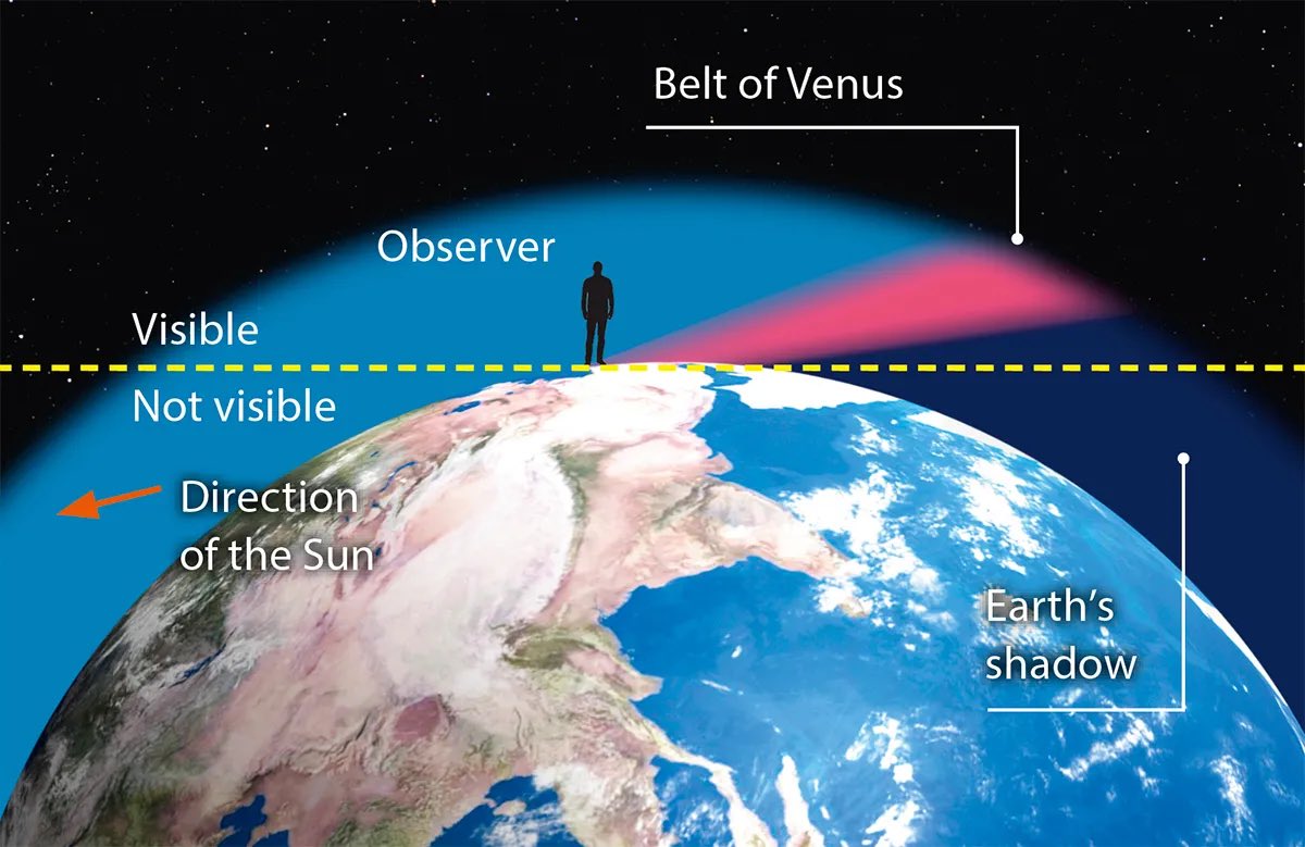 Most people see the Belt of Venus every evening without knowing what it actually is. Here’s a visual of what’s happening.