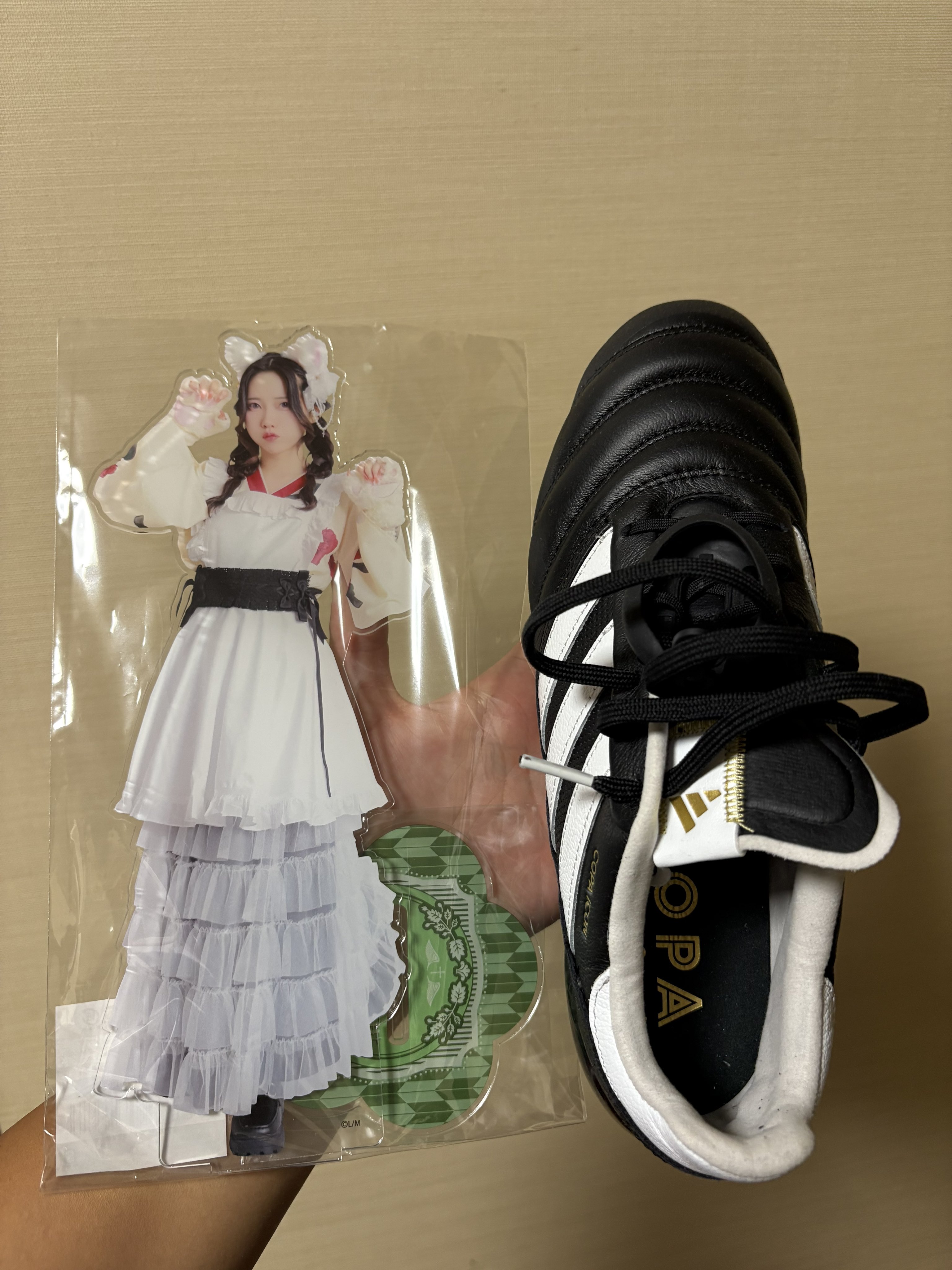 君色シンドローム 《ち ひ ろ😿》 on X: 