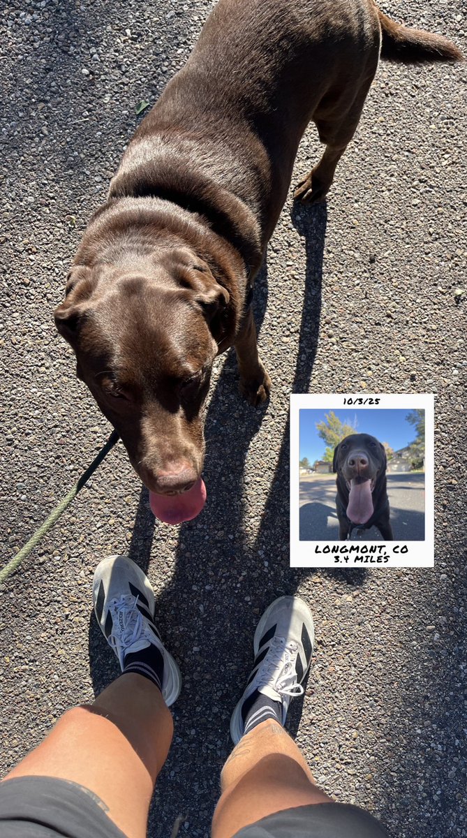 Ryan Dreyer 🪓 tweet media