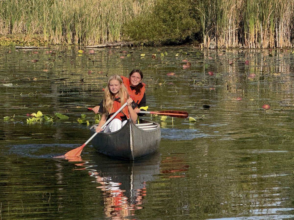 Mrs. Fritz 6th Grade Science tweet media