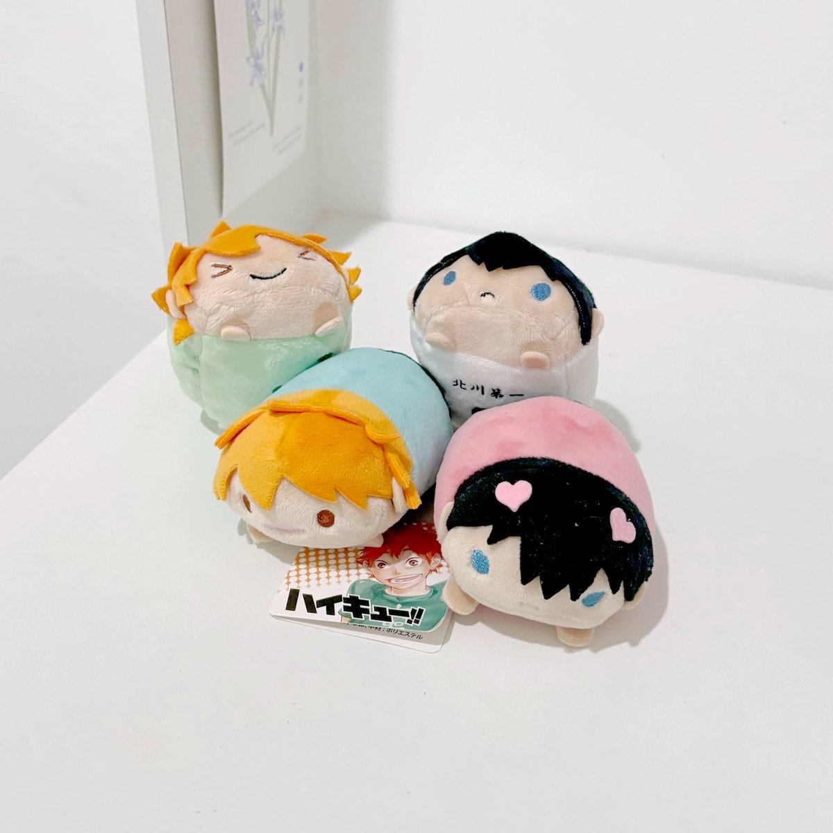 tsukeist's tweet photo. my special haikyuu norus came home ! https://t.co/PdJaY3C9w2