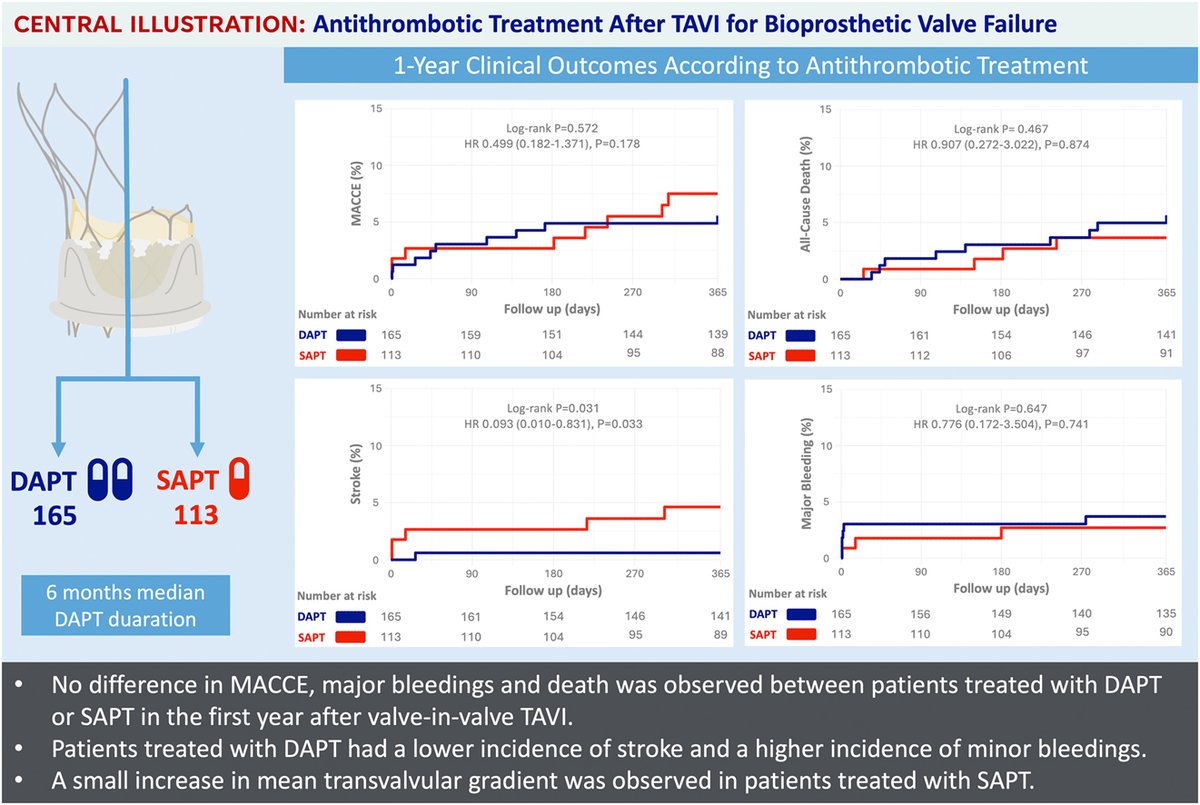 JACCJournals's tweet photo. #DAPT after valve-in-valve #TAVI may be associated with a lower one-year incidence of stroke, while no significant difference was observed for other major ischemic and bleeding outcomes or for premature valve deterioration. https://t.co/EOfuyEUb8S
#GISE46 #JACCINT https://t.co/G6dogl8XVP