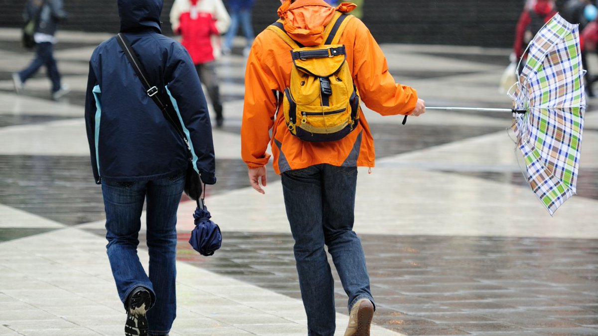 lpoolcouncil's tweet photo. ⚠️ | A yellow weather warning is in force due to #StormAmy. 

There'll be spells of heavy rain and 50mph gusts during Friday &amp; Saturday.

Take care if you are out &amp; about, particularly if driving.

Read more by clicking the link: https://t.co/qnjj1UtBjr https://t.co/Otxrno1PDq
