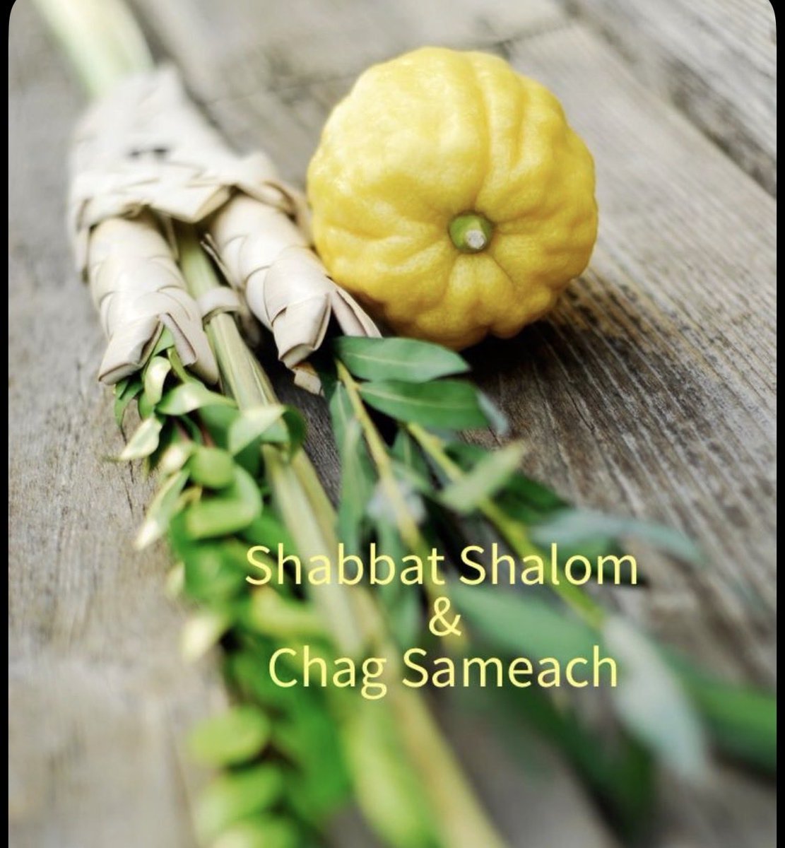 From renewal to celebration in one beautiful flow…
Fresh from Yom Kippur’s reflection, we move with joy into the light of Shabbat and the sweetness of preparing for Sukkot.