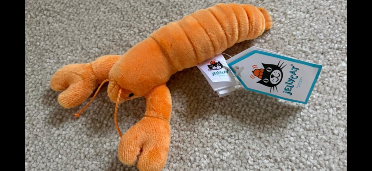 #Caturday Eve ❤️😻
 Giveaway for all 
.<a href="/reinosoj2/">Javier Reinoso</a> 😻followers  to thank U for r amazing support. “Game Boy”plushy cat +”L’il Lobster” (JellyCat)
thank you Vicki, <a href="/DBRacingUK/">Vicki Jeffreys and Odi</a> queen of the JC’s. 
Just comment in the replies + i’ll pick 2 winners on Tuesday. 
#ReinosoFamily 💪💞🌎