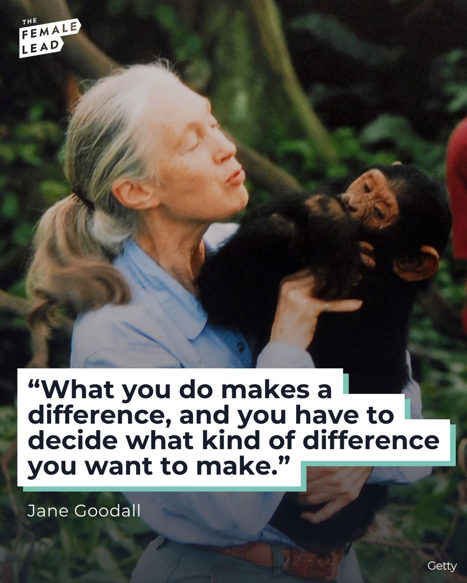 the_female_lead's tweet photo. “You cannot get through a single day without having an impact on the world around you. What you do makes a difference, and you have to decide what kind of difference you want to make.”

Dr. Jane Goodall, pioneering primatologist and conservationist, passed away on October 1, 2025. Her groundbreaking chimpanzee research changed the way we see the natural world and showed the power of curiosity, courage, and perseverance.

She inspired generations of girls to lead, explore, and protect our planet and showed what’s possible when women follow their passion. 🌿