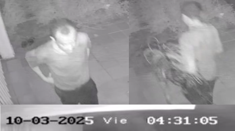 Este sujeto fue señalado, por entrar esta madrugada a una casa de la urb. Villa Asia, y cargar unos Cables. Estemos alertas. Si lo ves, notifica en el Módulo Policial. Varios Eventos estos días, donde se han robado Escaleras, Cables y otros objetos. #guayana #pzo <a href="/LosOlivosInfo/">Los Olivos</a>