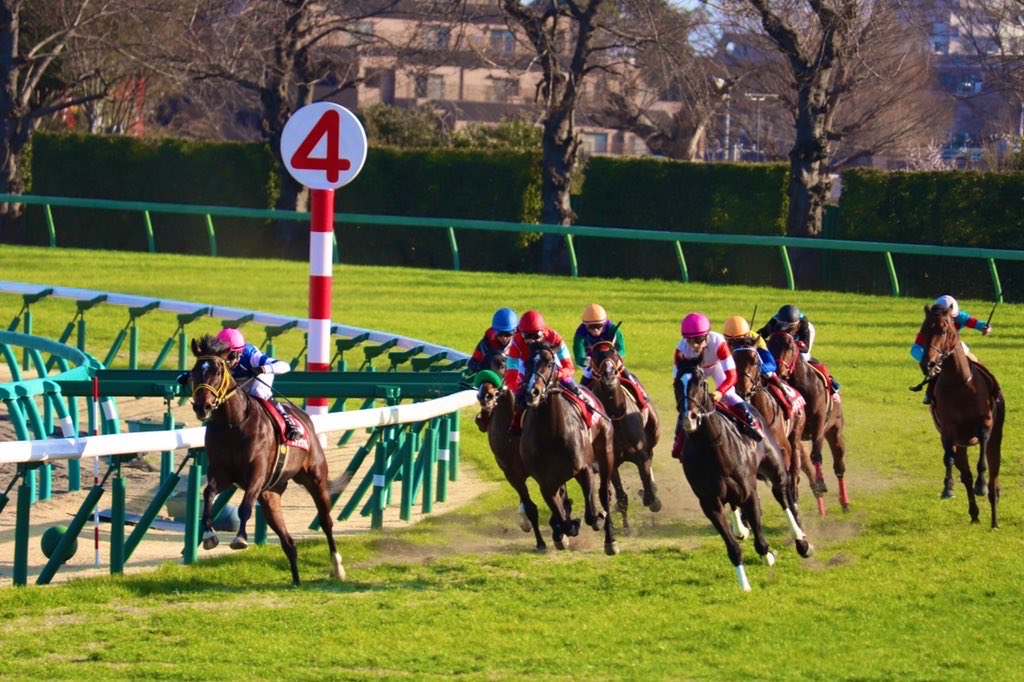 aipharoah2's tweet photo. 10月4日中央競馬2場(東京/京都)全レースAI指数公開しました

🦄全レース基準オッズ付き🦄

公開遅くなりました🙇
先週は久しぶりに快勝で終えられた #pharoahくん ✨
秋になって一段ギアを上げてくるところに全力でのだから！！

記事は以下から👇
▶️https://t.co/Cez7oVAAzI

#競馬予想 #中央競馬 https://t.co/iXtlknvRMV