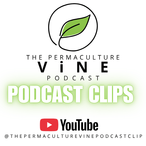 Vine Permaculture tweet media