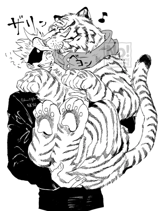 ⚠️すくすく育った猛獣🐯 