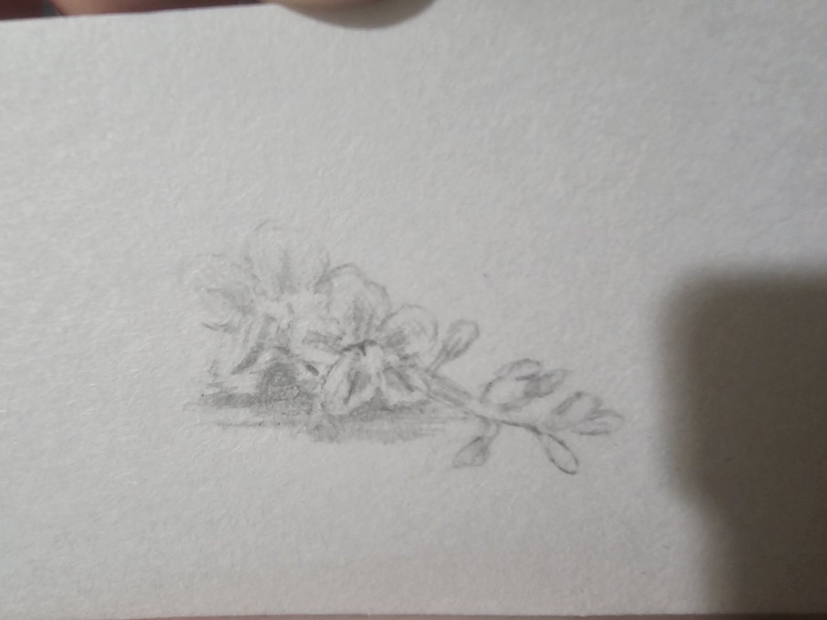 springcandies's tweet photo. #wip https://t.co/tAqdgRdIMD