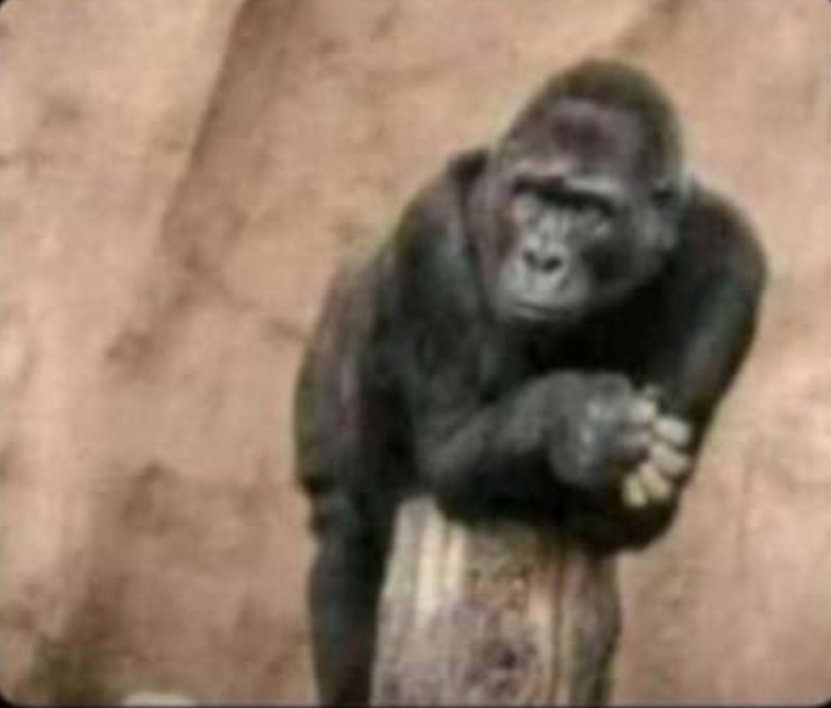 All girls MUST be beautiful. 
Girls doing Engineering courses 🤣🤣🤣🤣🤣🤣🤣🤣