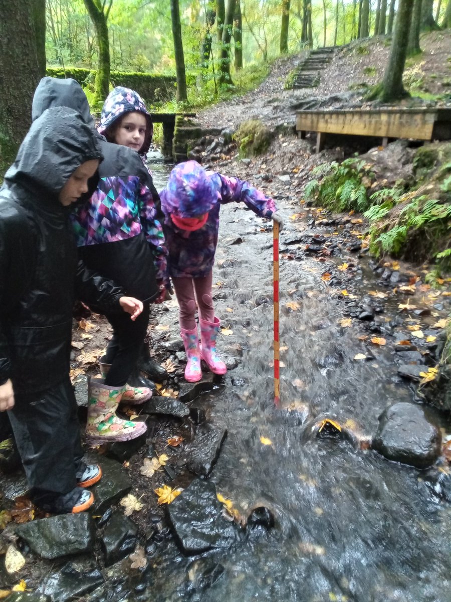 Elworth CE Primary (@elworthce) on Twitter photo Kingfishers had a wonderful time on their river study in Macclesfield Forest! Kingfishers had a wonderful time on their river study in Macclesfield Forest!