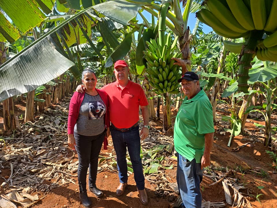 AcopioGE's tweet photo. 🇨🇺 3 de octubre: Día del Trabajador Agropecuario y Forestal en Cuba. En esta jornada se  reconocen a unidades y trabajadores por sus resultados económicos y  sindicales

Felicidades a todos los trabajadores del sector

#Cuba #Agricultura https://t.co/EEIF1qbcH3