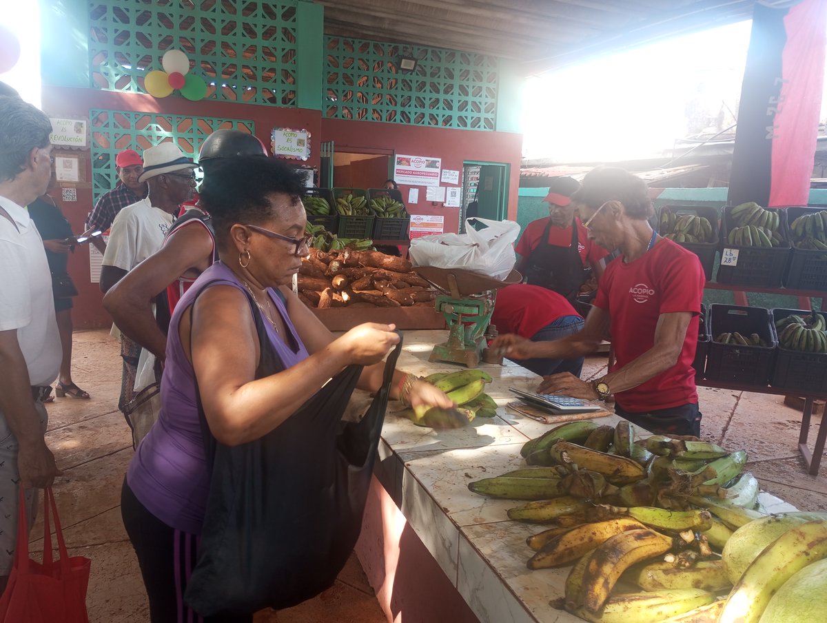 AcopioGE's tweet photo. 🇨🇺 3 de octubre: Día del Trabajador Agropecuario y Forestal en Cuba. En esta jornada se  reconocen a unidades y trabajadores por sus resultados económicos y  sindicales

Felicidades a todos los trabajadores del sector

#Cuba #Agricultura https://t.co/EEIF1qbcH3