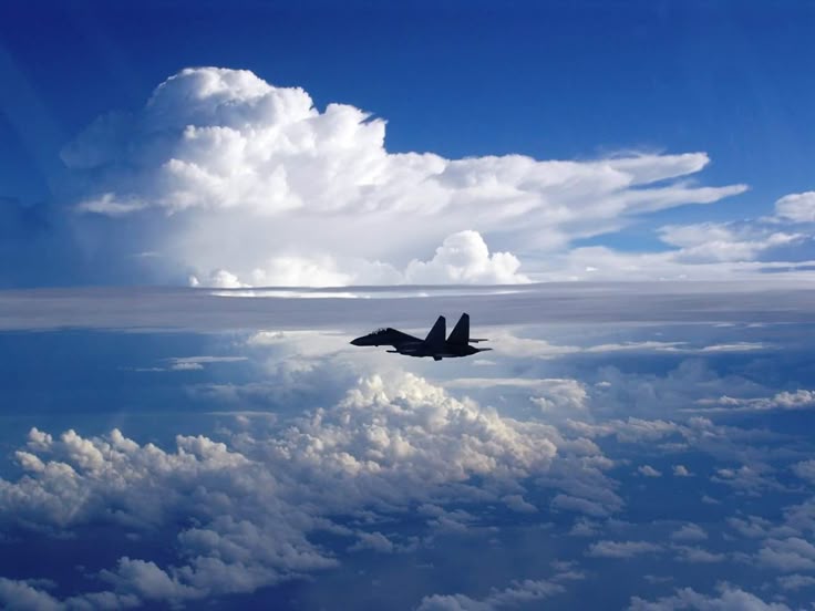 The True King of Indian Subcontinent Skies.