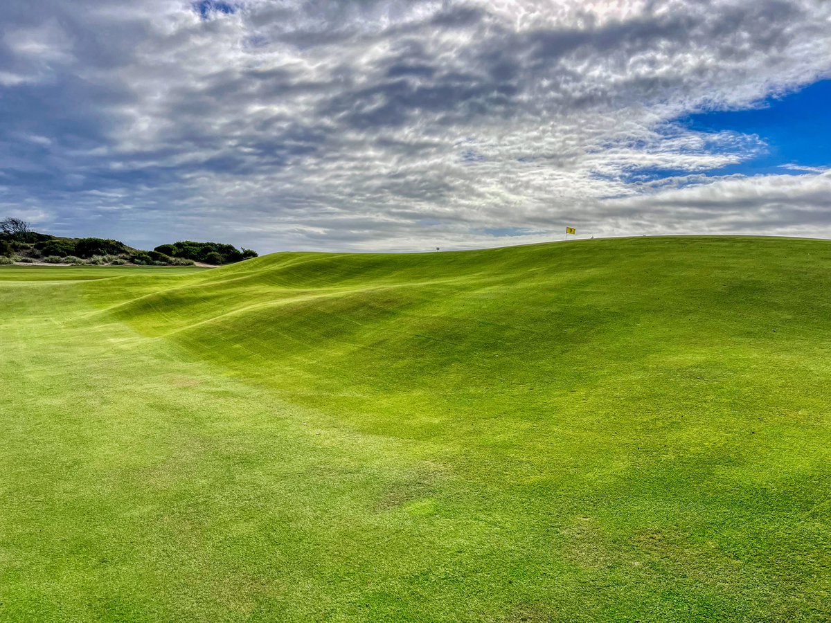 Derek Duncan tweet media