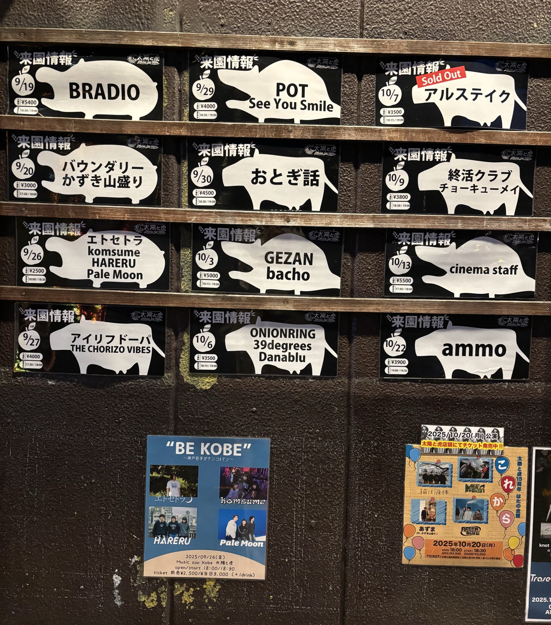 ひまわり (@himawari_music8) / X