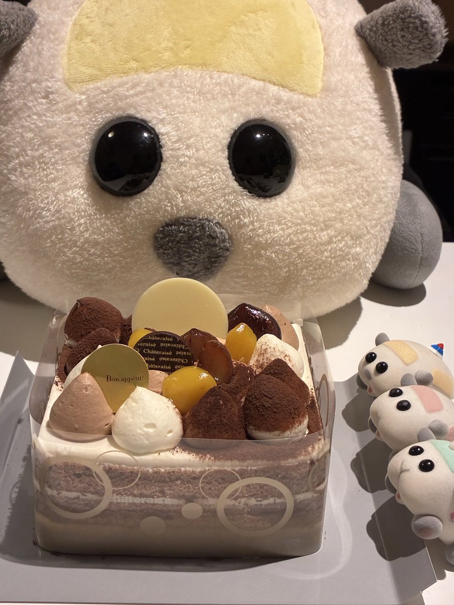 ちも@モルカー (@molcar_chimo) / Posts / X