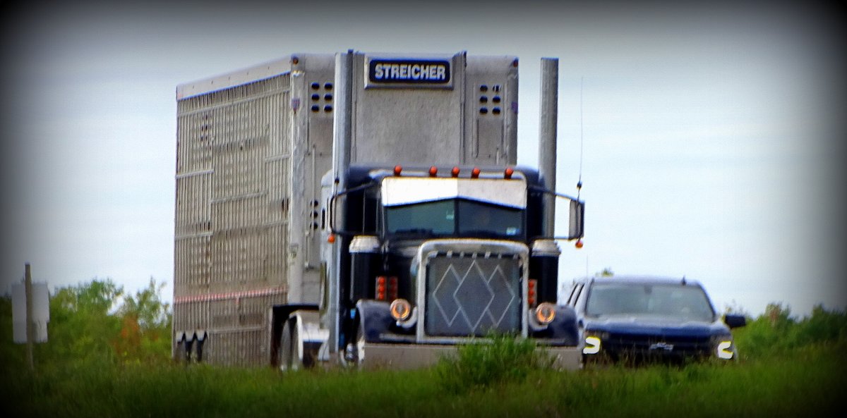 Eldon Zigarlick tweet media