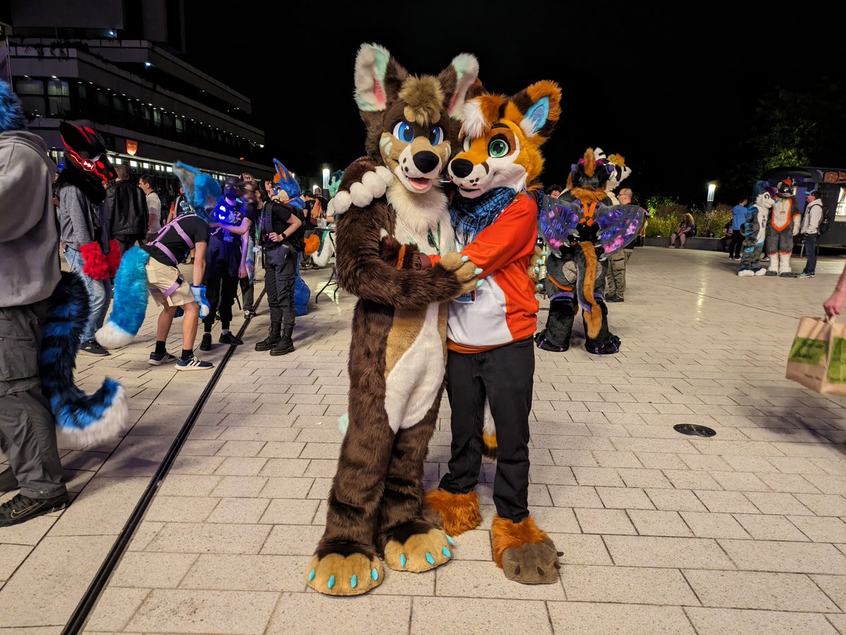 Mike The Fox tweet media