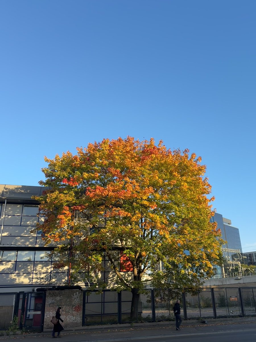 mlardjane's tweet photo. #Autumn 🍂 beautiful colours 🎃 https://t.co/6OAukyf97k