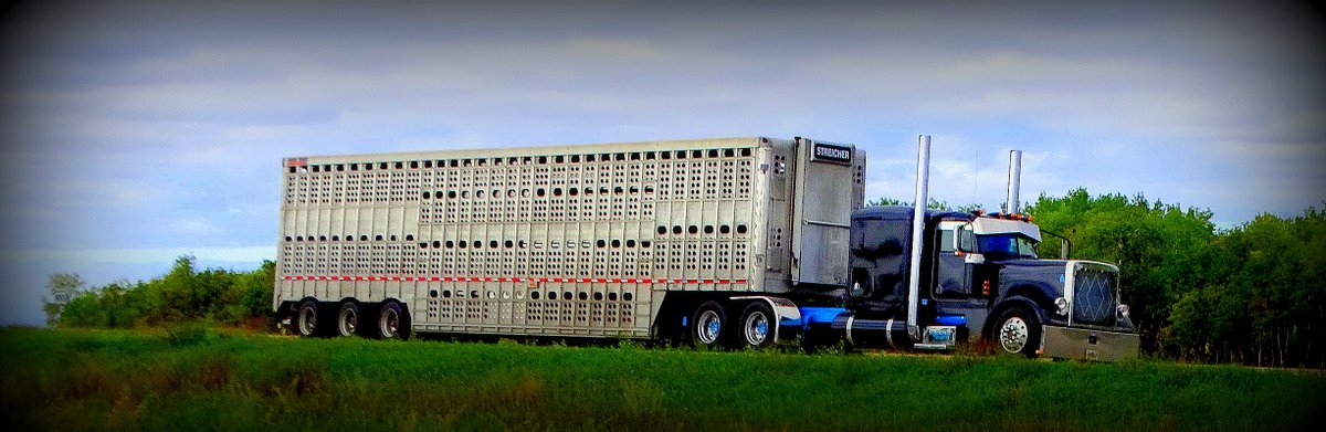 Eldon Zigarlick tweet media