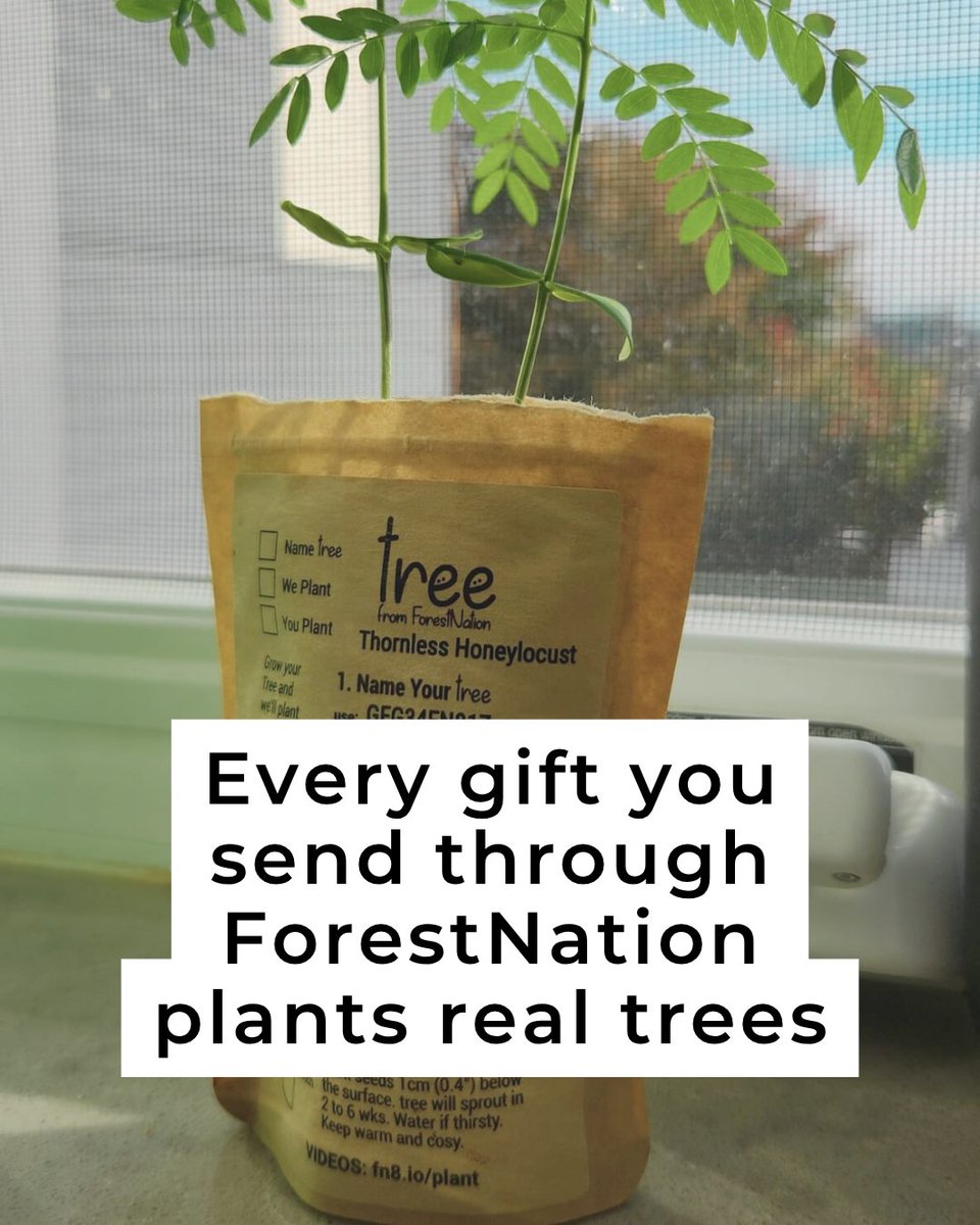 ForestNation tweet media