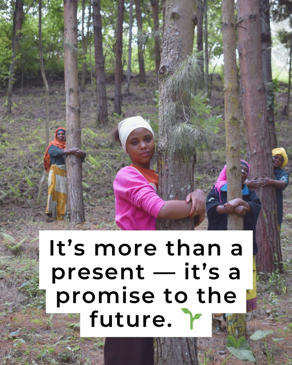 ForestNation tweet media